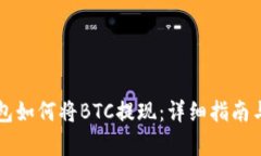 比特派钱包如何将BTC提现：详细指南与步骤解析