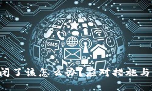 如果B特派倒闭了该怎么办？应对措施与替代方案解析