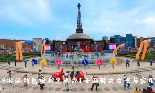 忘记B特派钱包密钥怎么办？全面解决方案与实用技巧