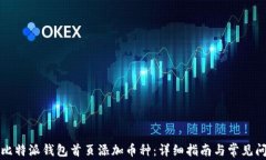 如何在比特派钱包首页添加币种：详细指南与常