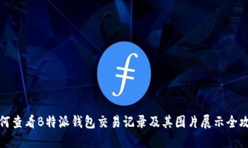 如何查看B特派钱包交易记录及其图片展示全攻略