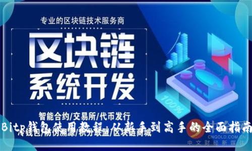 Bitp钱包使用教程：从新手到高手的全面指南