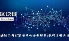 区块链公司扩容项目的全面解析：挑战与解决方