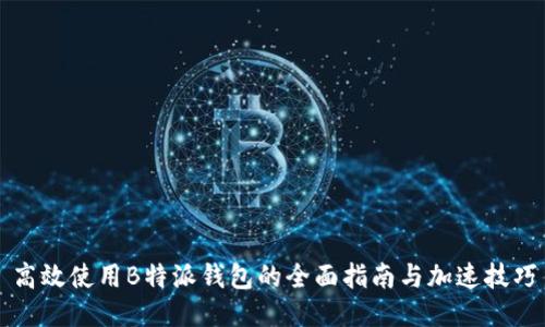 高效使用B特派钱包的全面指南与加速技巧