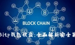 如何有效防止Bitp钱包被盗：全面解析安全策略和