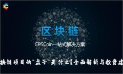 区块链项目的“盘子”是什么？全面解析与投资