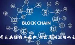 深入解析区块链商业周期：从发展到应用的全面