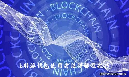 b特派钱包使用方法详解及技巧