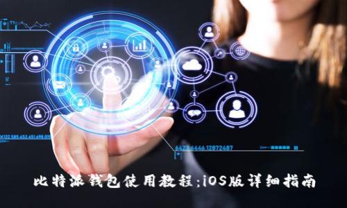 比特派钱包使用教程：iOS版详细指南