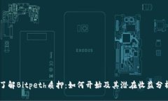 了解Bitpeth质押：如何开始及其潜在收益分析