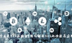 什么是BKS区块链？深入解析BKS的功能与应用