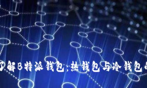 深入了解B特派钱包：热钱包与冷钱包的区别