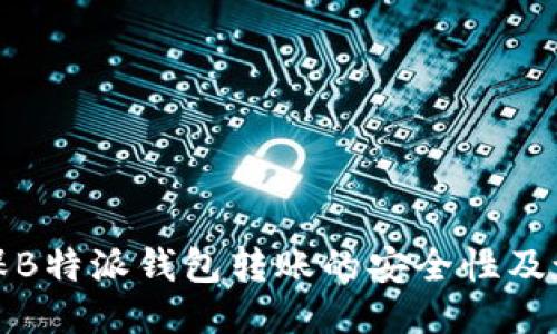 如何确保B特派钱包转账的安全性及记录查询