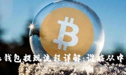 b特派钱包提现流程详解：谁能从中获利？