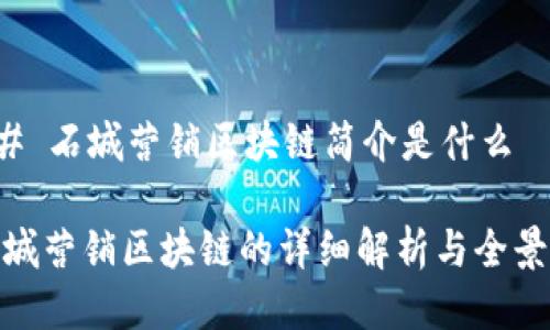 ### 石城营销区块链简介是什么

**石城营销区块链的详细解析与全景介绍