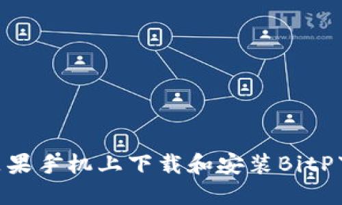 如何在苹果手机上下载和安装BitP下载APP？