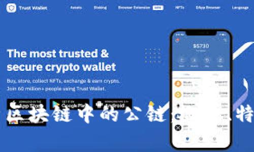 深入解析区块链中的公链：概念、特点与应用