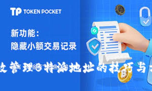 高效管理B特派地址的技巧与方法