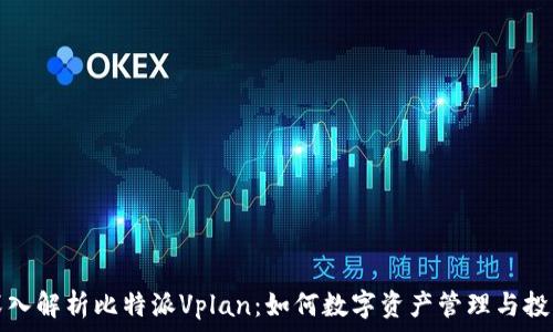   
深入解析比特派Vplan：如何数字资产管理与投资