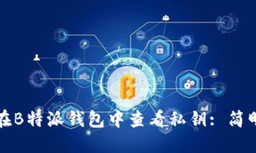 如何在B特派钱包中查看私钥: 简明指南