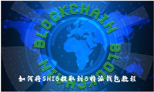 如何将SHIB提取到B特派钱包教程