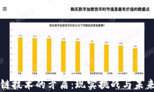 区块链技术的矛盾:现实挑战与未来前景