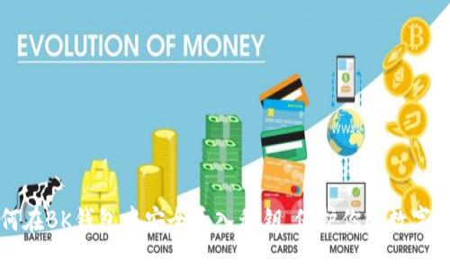 如何在BK钱包中安全导入私钥，保护你的数字资产