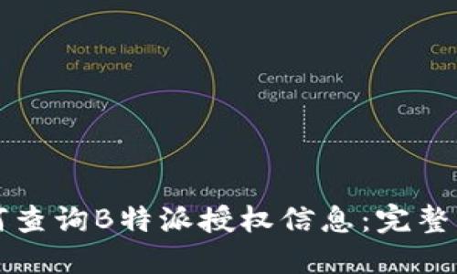 如何查询B特派授权信息：完整指南